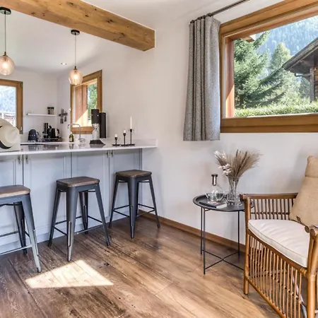 Dağ evi Deutz Chamonix